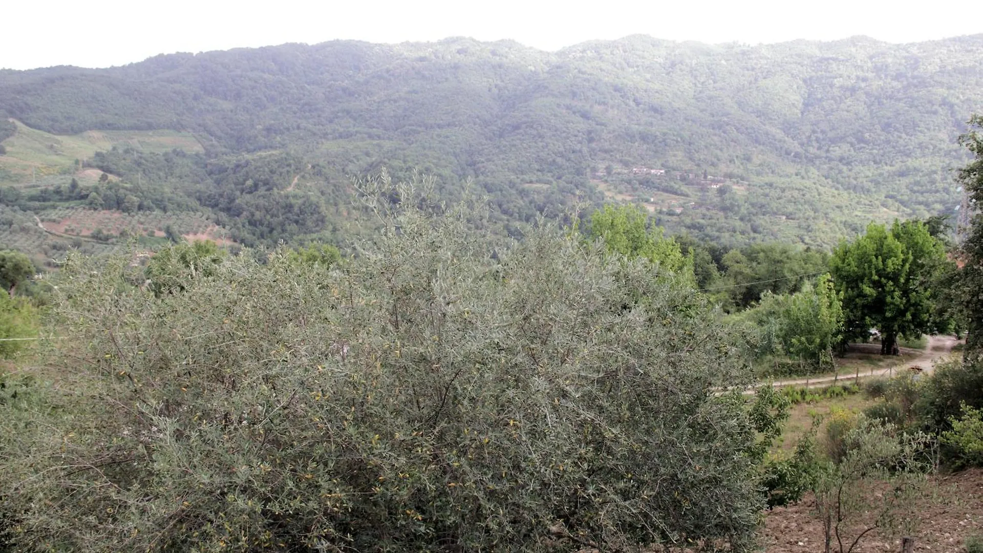 Nicolabiondo Bed & Breakfast Sicili